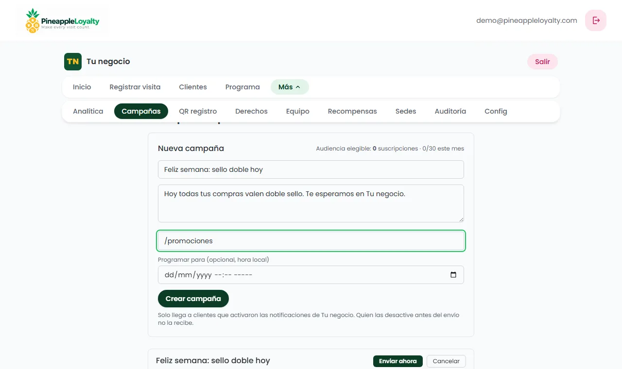 Formulario de nueva campaña push con audiencia elegible